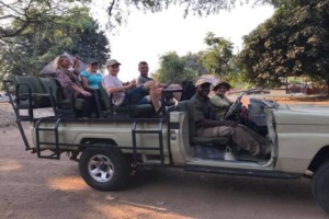Game Drive - Zikomo Safaris (1)