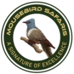 Profile picture of Mousebird Safaris
