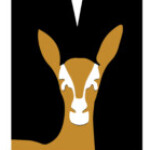 Profile picture of Mawere Tours and Safaris