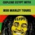 Profile picture of Bob Marley Tours Egypt