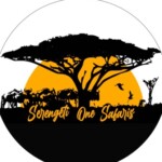 Profile picture of Serengeti One Safaris