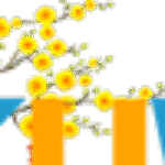 Profile picture of kuwin napp