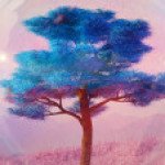 Profile picture of Newday Travels