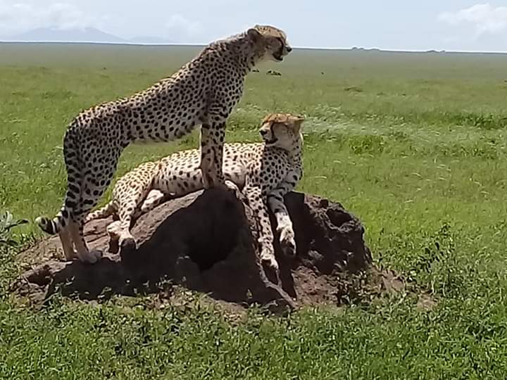 fb_img_1578496733245