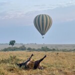 active-adventures-epic-hot-air-balloon-safari-in-masai-mara-yha-kenya-travel-balloon-safari-adventureepic-adventures-in-kenya