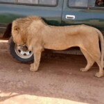 fb_img_1586632428681