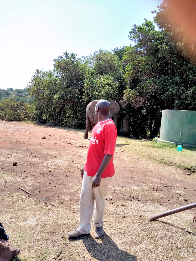 img_20190820_143330_2