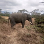 img_20211011_113745_099