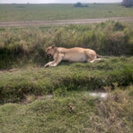 img_20230212_163128_838