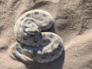DSCN5624