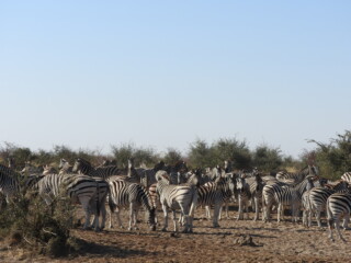DSCN5630
